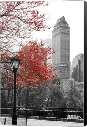 Framed Central Park with Red Tree Print