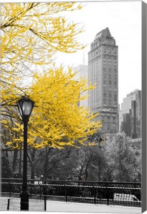 Framed Central Park with Yellow Tree Print