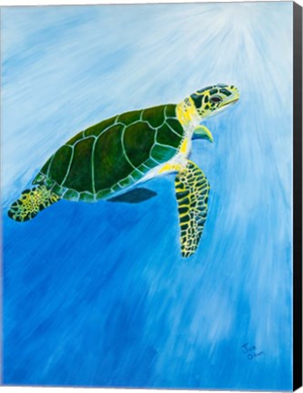 Framed Green Turtle Print