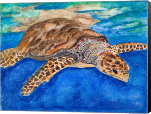 Framed Turtle at Sea Print