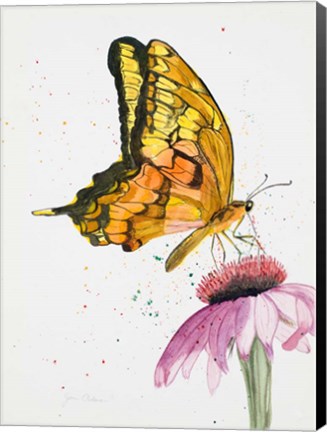 Framed Butterfly Nectar Print