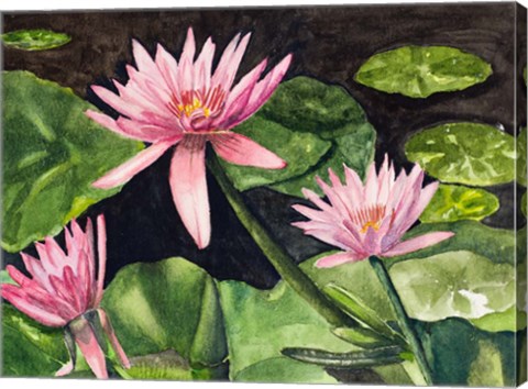 Framed Water Lillie&#39;s Print