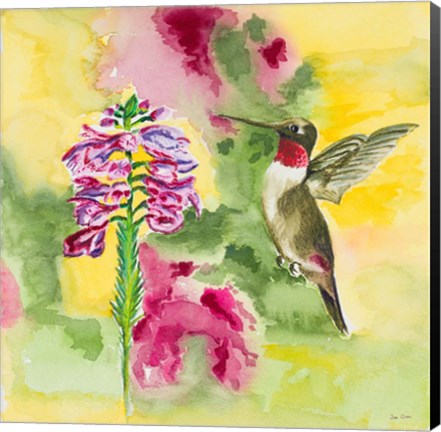 Framed Watercolor Hummingbird Print