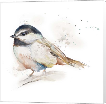 Framed Watercolor Mountain Bird II Print