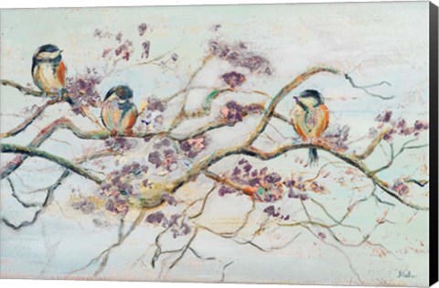 Framed Birds On Cherry Blossom Branch Print