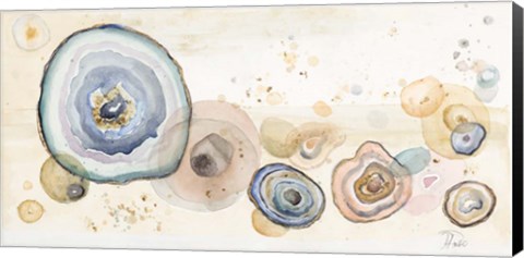 Framed Agates Flying Watercolor Print