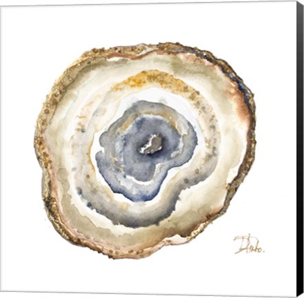 Framed Agate Watercolor I Print