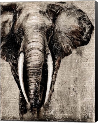 Framed Elephant on Newspaper Print