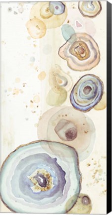 Framed Tall Agates Flying Watercolor Print