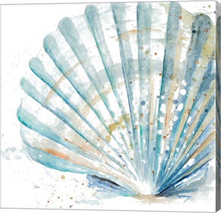 Framed Water Shell Print