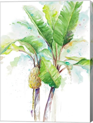 Framed Watercolor Banana Plantain Print