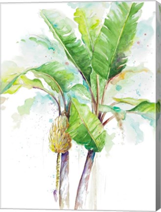 Framed Watercolor Banana Plantain Print