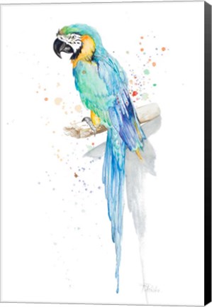 Framed Watercolor Parrot Print