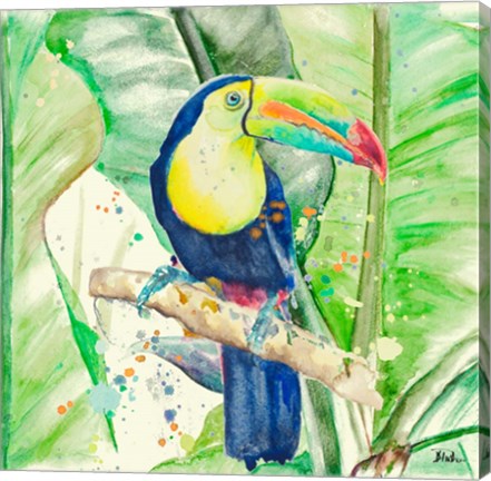 Framed Colorful Toucan Print
