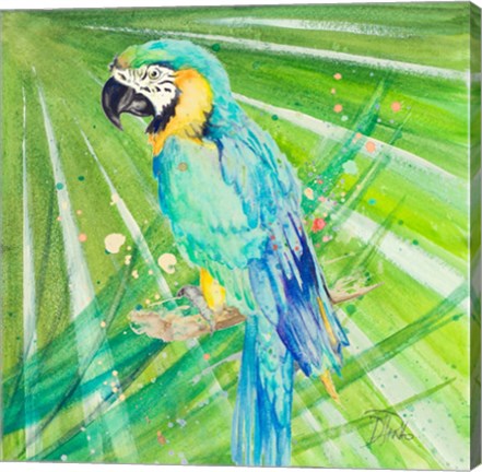 Framed Colorful Parrot Print