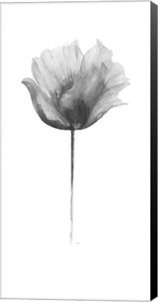 Framed Flower in Gray Panel I Print