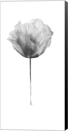 Framed Flower in Gray Panel II Print