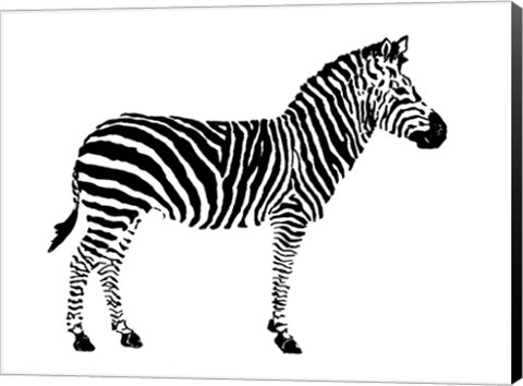 Framed Zebra Print