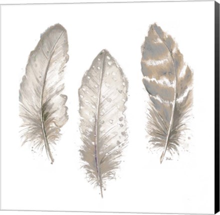 Framed Neutral Watercolor Feathers II Print