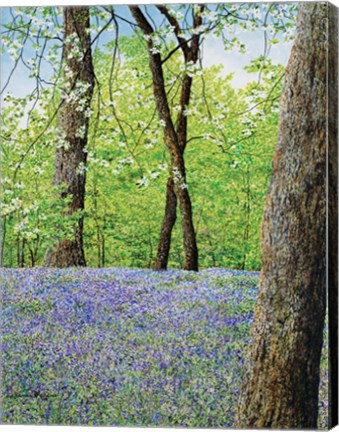 Framed Blue Bells Print