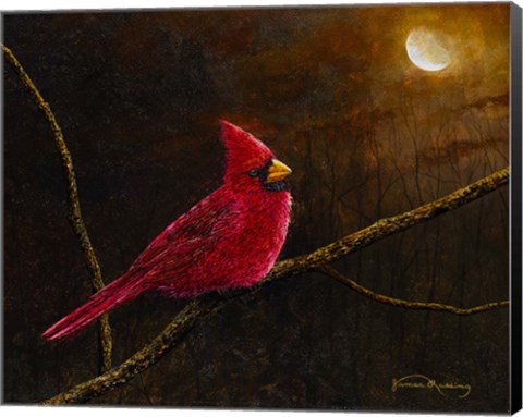 Framed Cardinal In The Moonlight Print