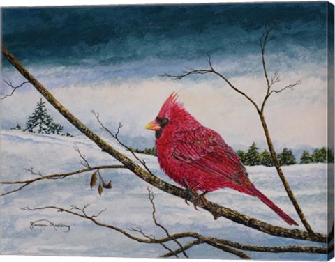 Framed Cardinal In A Pastel Sky Print