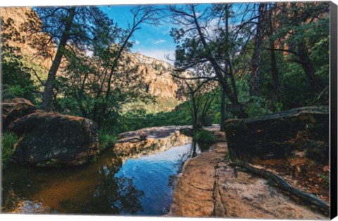 Framed Summer&#39;s Stream I Print