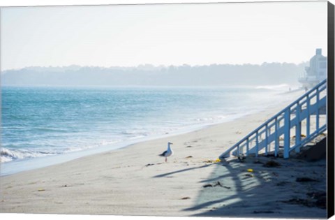 Framed Beach Stroll Print