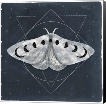 Framed Midnight Moth II Print