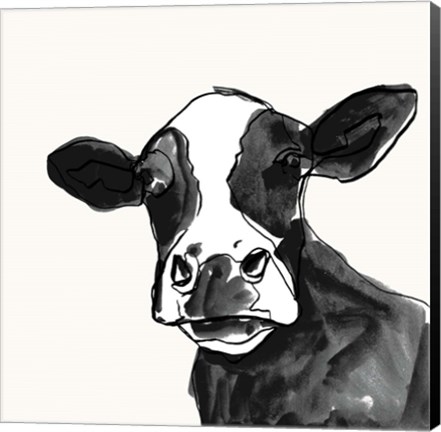 Framed Cow Contour I Print