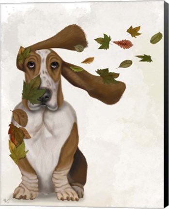 Framed Basset Hound Windswept and Interesting Print