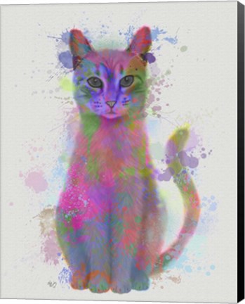 Framed Cat Rainbow Splash 4 Print