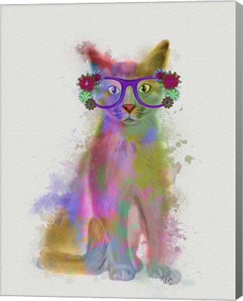 Framed Cat Rainbow Splash 5 Print