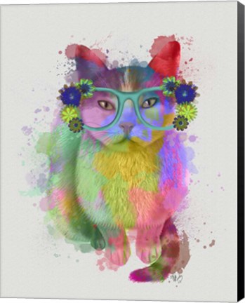 Framed Cat Rainbow Splash 6 Print