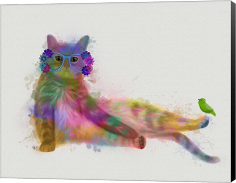 Framed Cat Rainbow Splash 10 Print