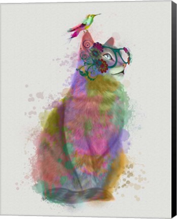 Framed Cat Rainbow Splash 11 Print