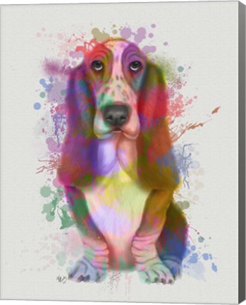 Framed Basset Hound Rainbow Splash Print