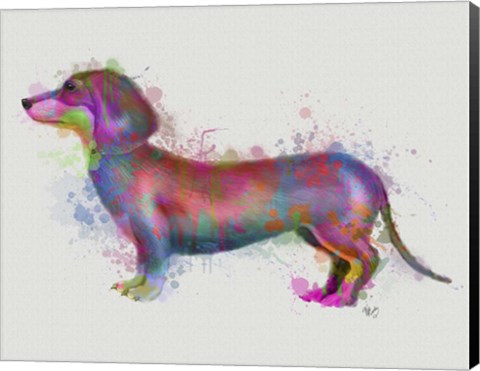 Framed Dachshund Rainbow Splash 1 Print