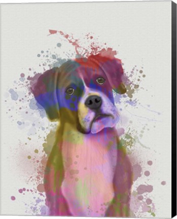 Framed Boxer 1 Portrait Rainbow Splash Print