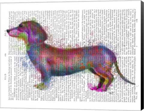 Framed Dachshund Rainbow Splash 1 Print