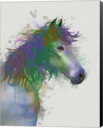 Framed Horse Portrait 1 Rainbow Splash Print