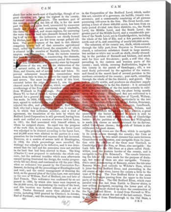 Framed Flamingo and Cocktail 4 Print