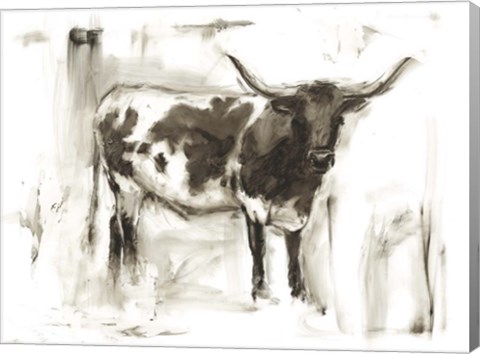 Framed Longhorn Study I Print