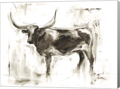 Framed Longhorn Study II Print