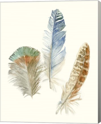 Framed Watercolor Feathers III Print