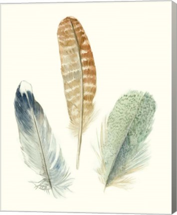 Framed Watercolor Feathers IV Print