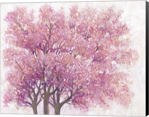 Framed Pink Cherry Blossom Tree I Print