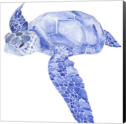 Framed Ultramarine Sea Turtle I Print