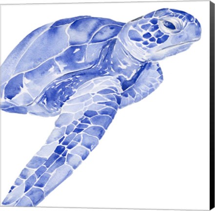 Framed Ultramarine Sea Turtle II Print