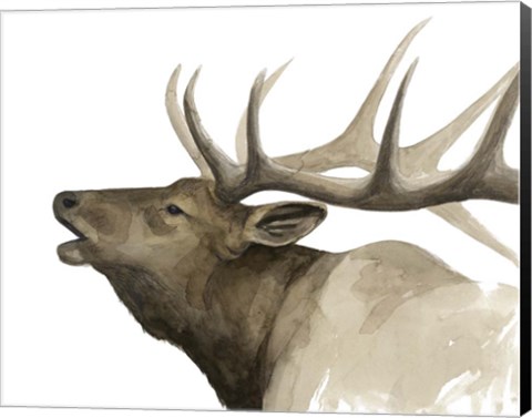 Framed Call of the Elk II Print